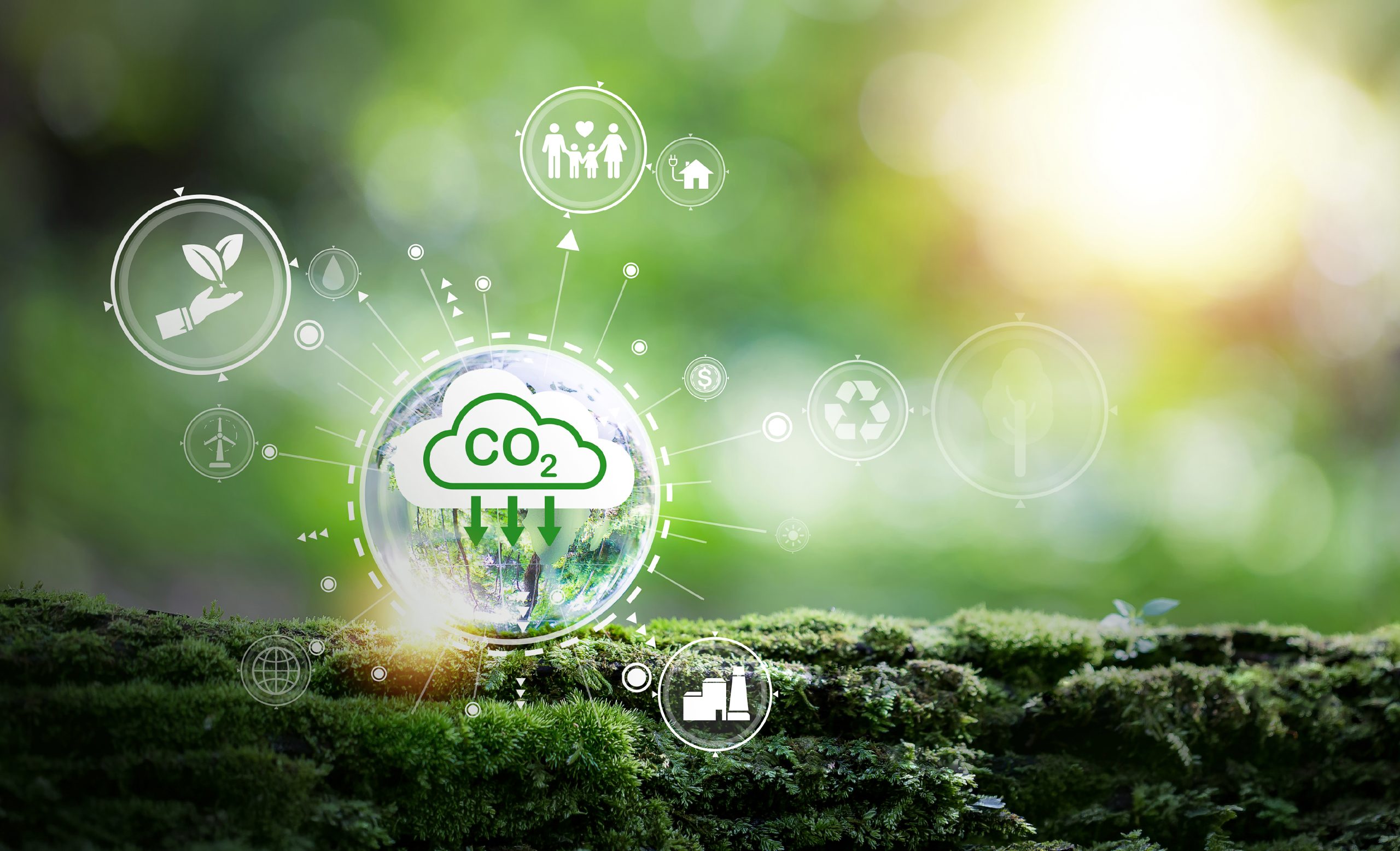 Carbon Footprint Training