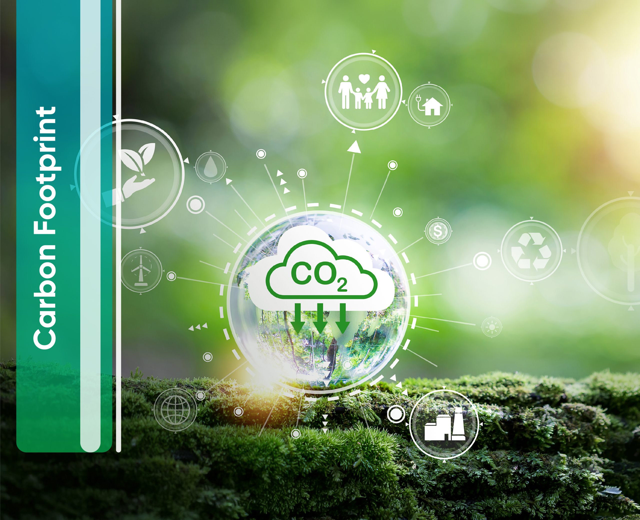 Carbon Footprint